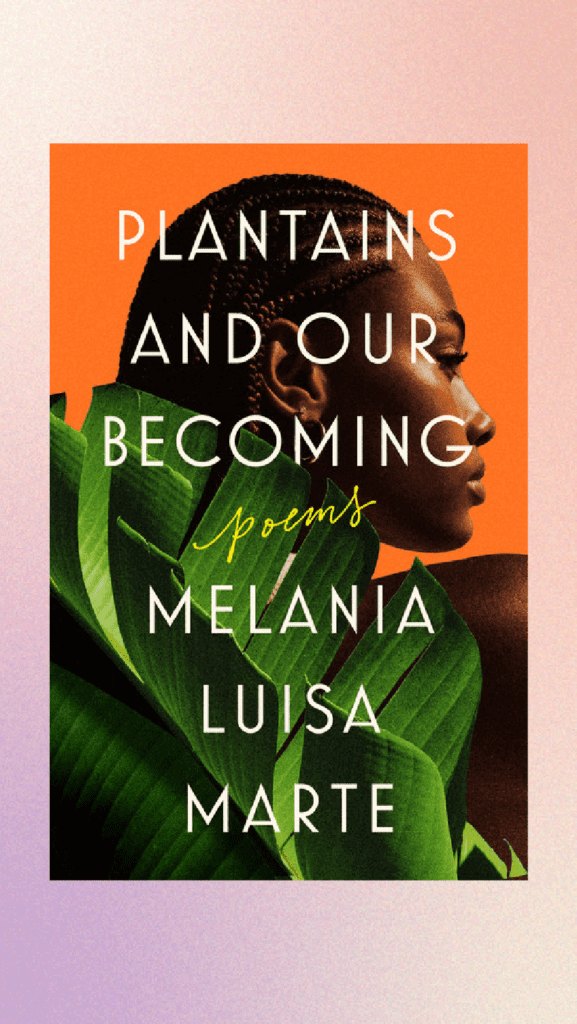 Book by Melania Luisa Marte